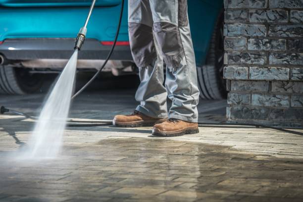 Best Pre-Holiday Cleaning  in Norwood, NY