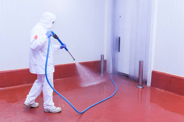 Best Spring Cleaning  in Norwood, NY