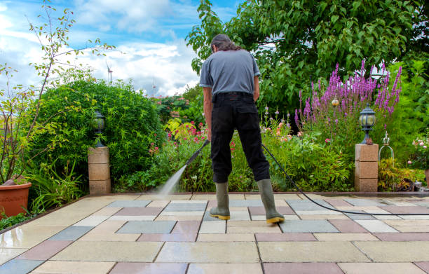 Best Fence Cleaning  in Norwood, NY